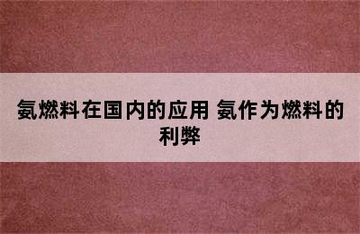 氨燃料在国内的应用 氨作为燃料的利弊